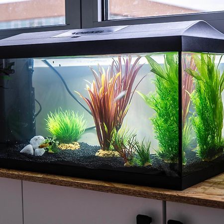 마르크앙 바롤 Studio Chaleureux Avec Aquarium 아파트 외부 사진